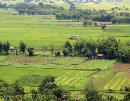 DuPont de Nemours establish office in Yangon 